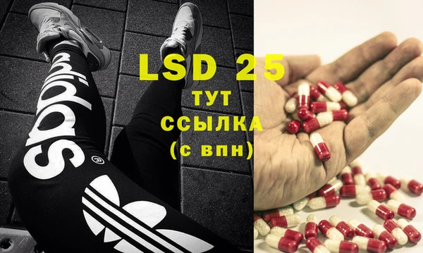 PSILOCYBIN Медногорск