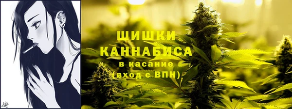 PSILOCYBIN Медногорск